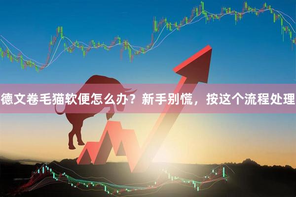 德文卷毛猫软便怎么办？新手别慌，按这个流程处理